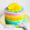 Разноцветный торт с герберой
