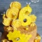 Торт-медовик с весёлыми пчёлками
