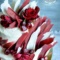 Свадебный торт с красными и белыми перьями